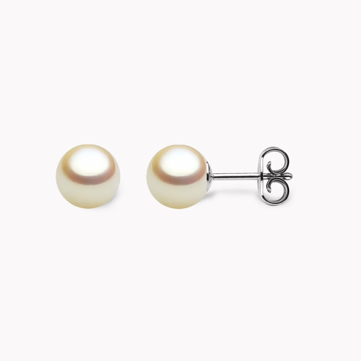 Golden Akoya Perlen Ohrstecker 7mm mit 18k weiss Gold