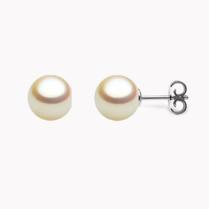 Golden Akoya Perlen Ohrstecker 8.5mm mit 18k weissgold