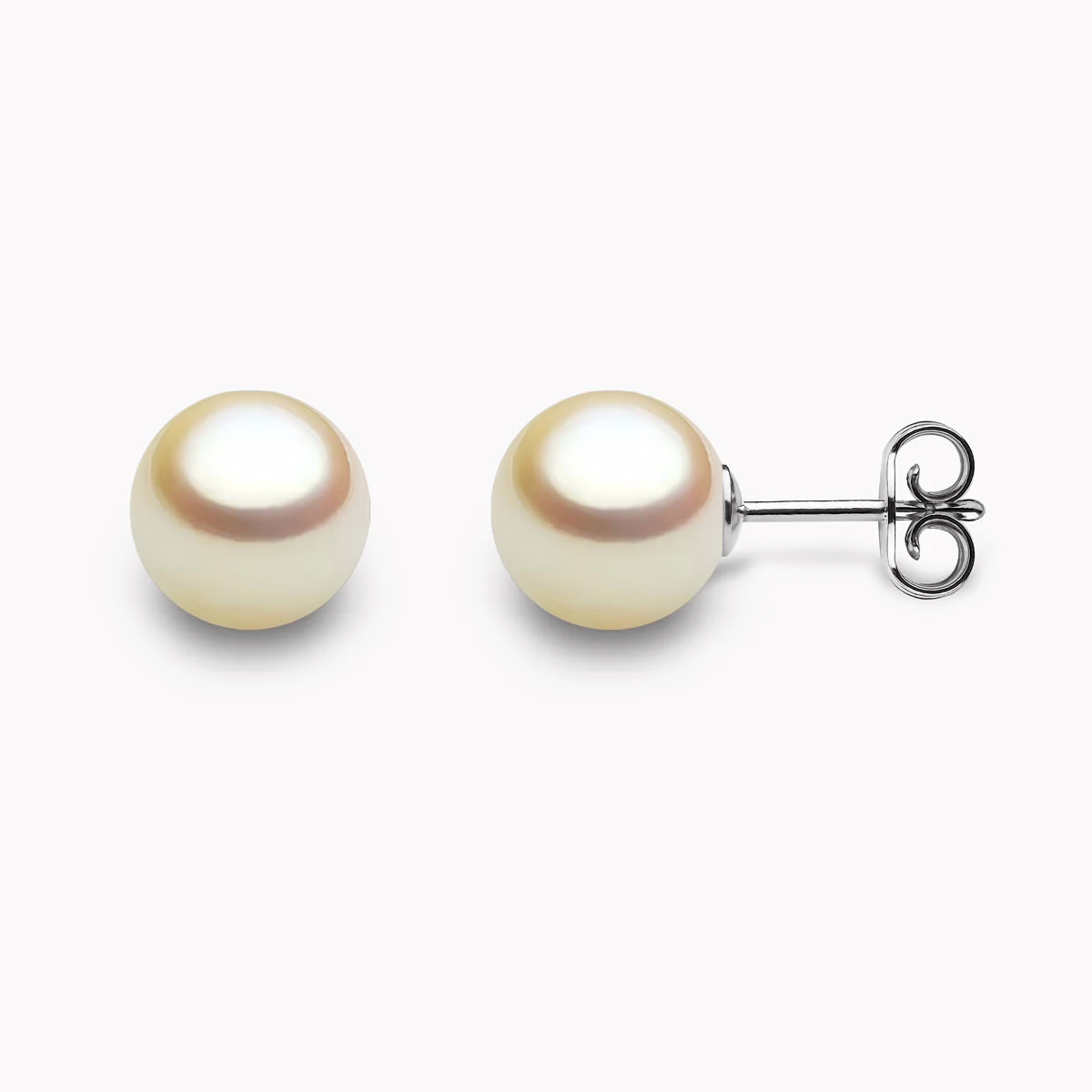 Golden Akoya Perlen Ohrstecker 8mm mit 18k weiss Gold