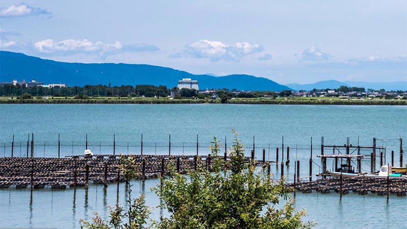 Nachhaltige Perlenfarm in Französisch-Polynesien – klare Lagune, geringe Muscheldichte, aktiver Meeresschutz